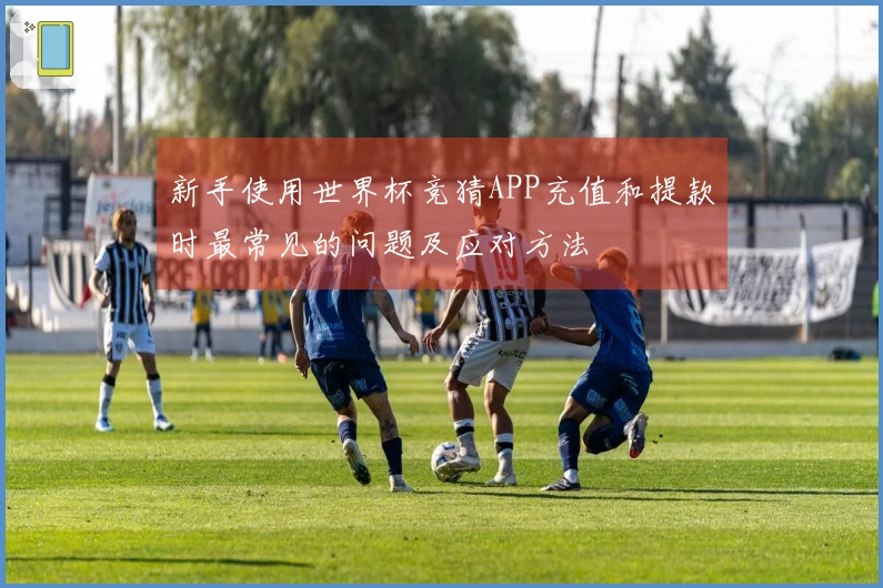 新手使用世界杯竞猜APP充值和提款时最常见的问题及应对方法