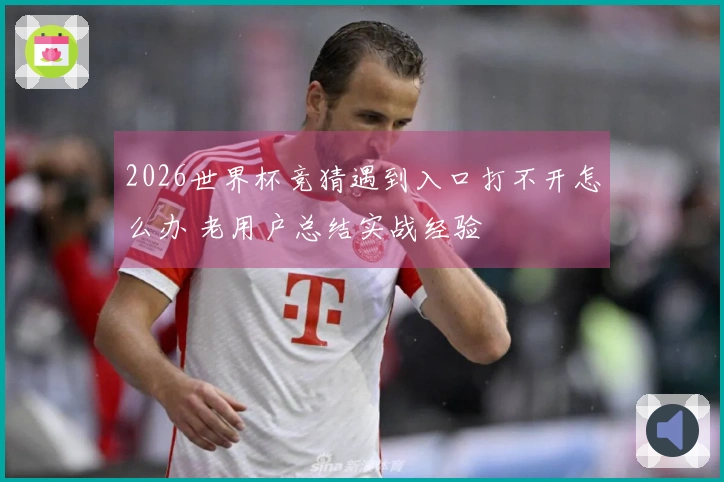 2026世界杯竞猜遇到入口打不开怎么办 老用户总结实战经验