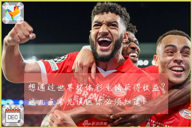 想通过世界杯体彩竞猜获得收益？这几点常见误区你必须知道！