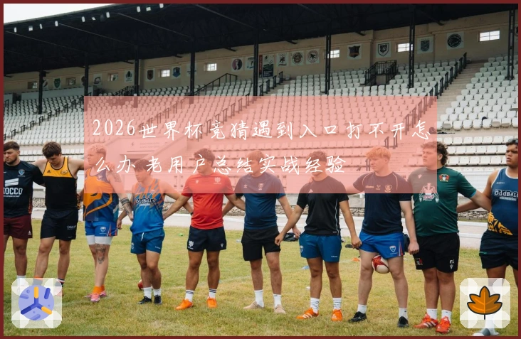 2026世界杯竞猜遇到入口打不开怎么办 老用户总结实战经验